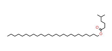 Pentacosyl 5-methylhexanoate